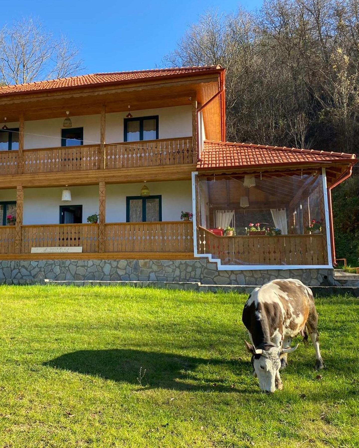 Casa Lila Panzió Colti Kültér fotó